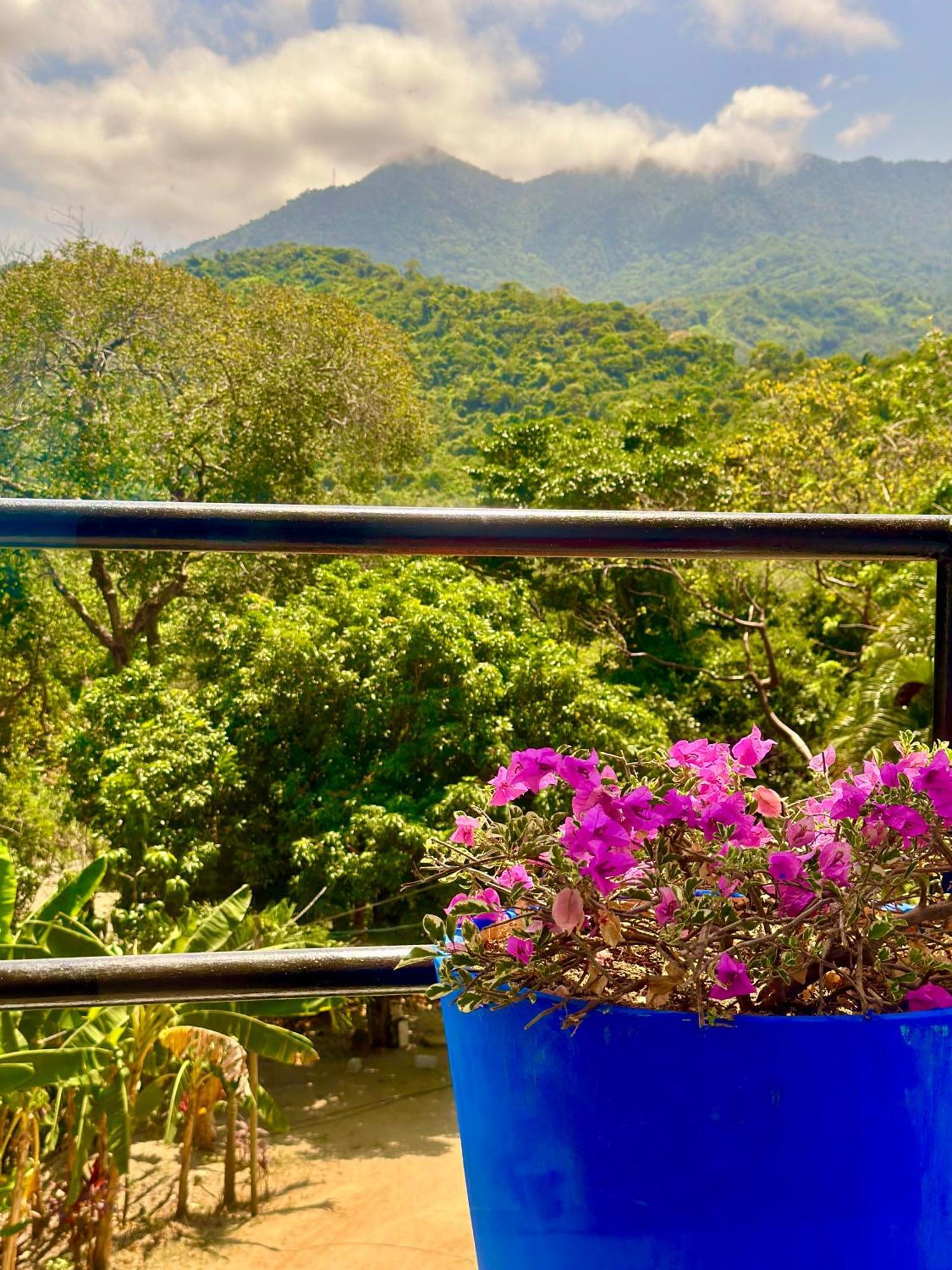 אל סאינו Tayrona Angel Lodge מראה חיצוני תמונה