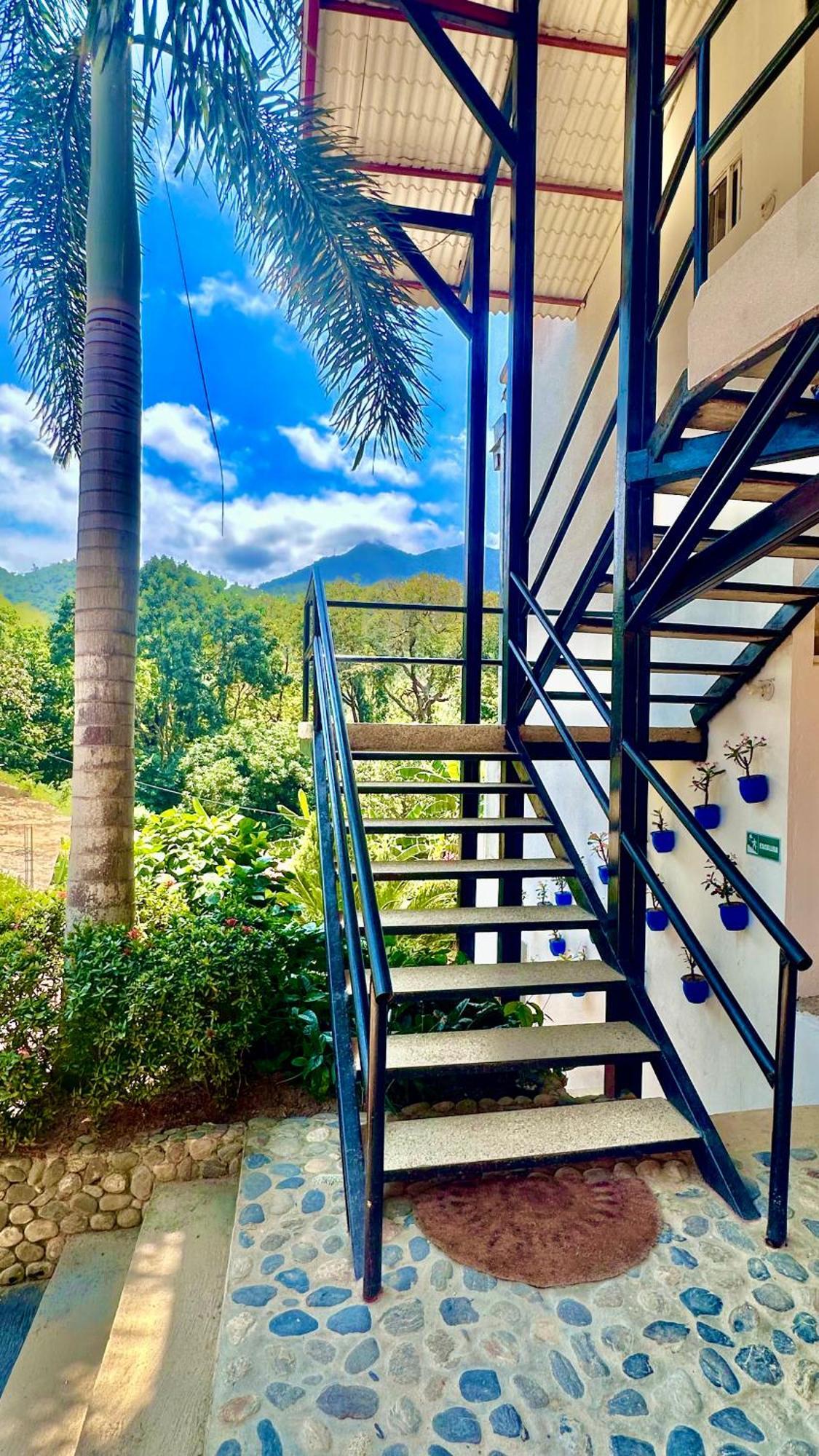 אל סאינו Tayrona Angel Lodge מראה חיצוני תמונה