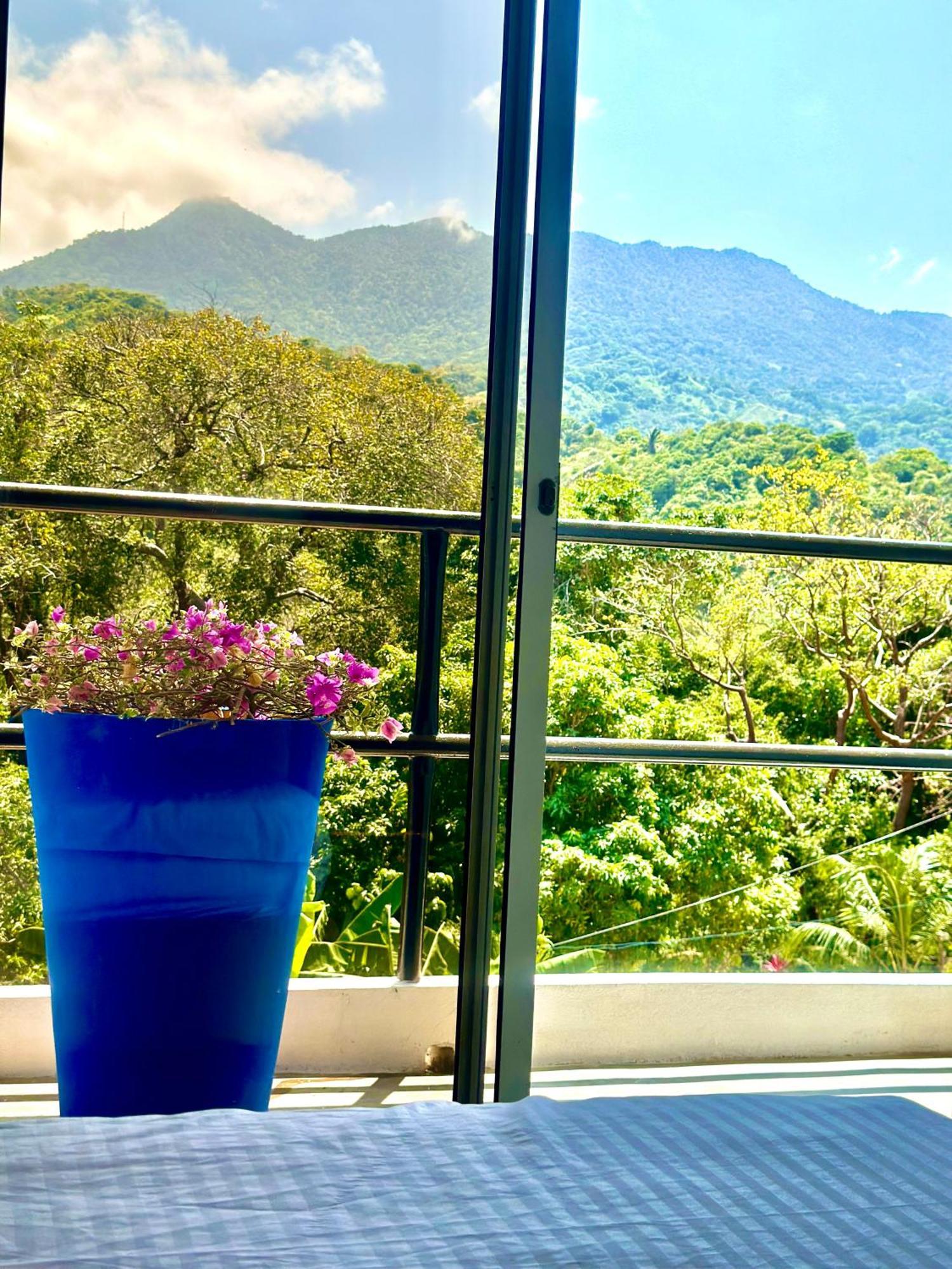אל סאינו Tayrona Angel Lodge מראה חיצוני תמונה