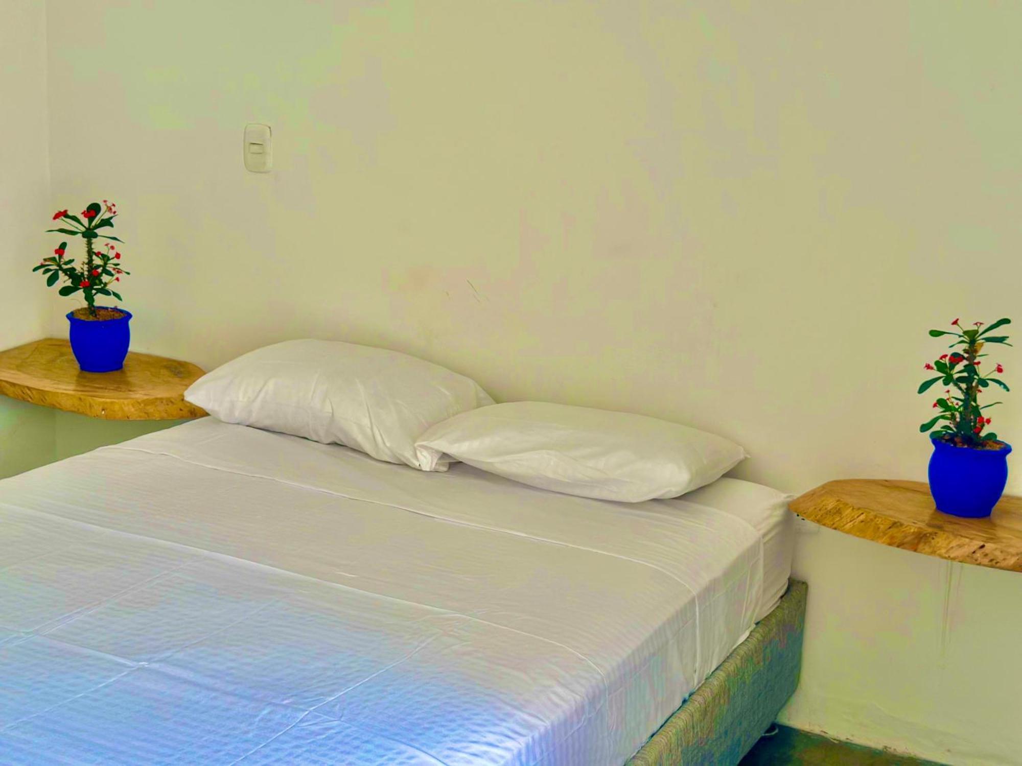 אל סאינו Tayrona Angel Lodge מראה חיצוני תמונה