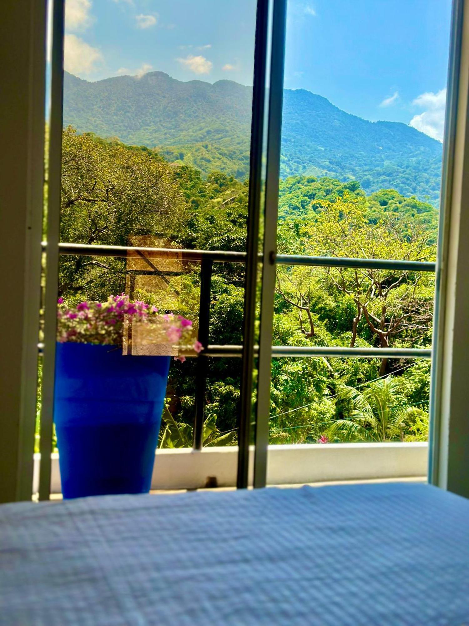 אל סאינו Tayrona Angel Lodge מראה חיצוני תמונה