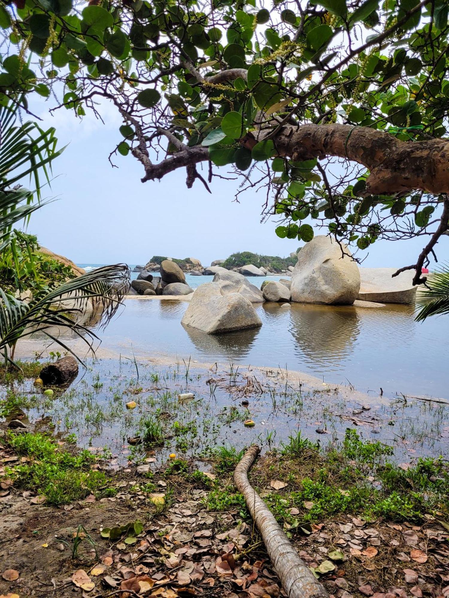 אל סאינו Tayrona Angel Lodge מראה חיצוני תמונה
