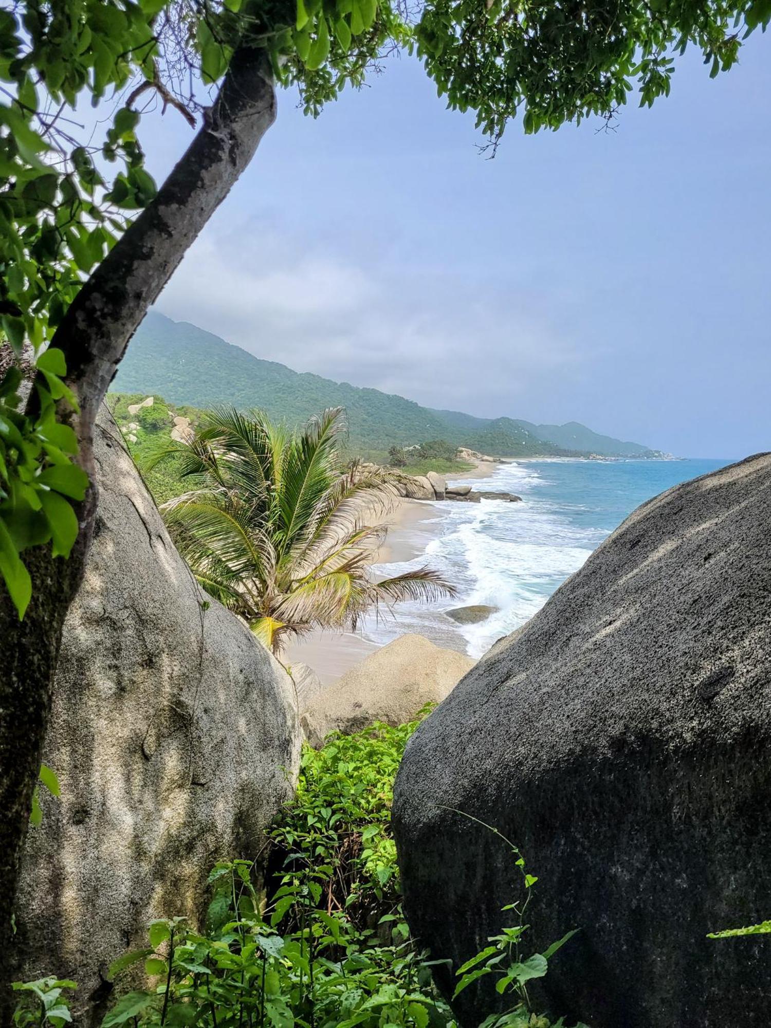 אל סאינו Tayrona Angel Lodge מראה חיצוני תמונה