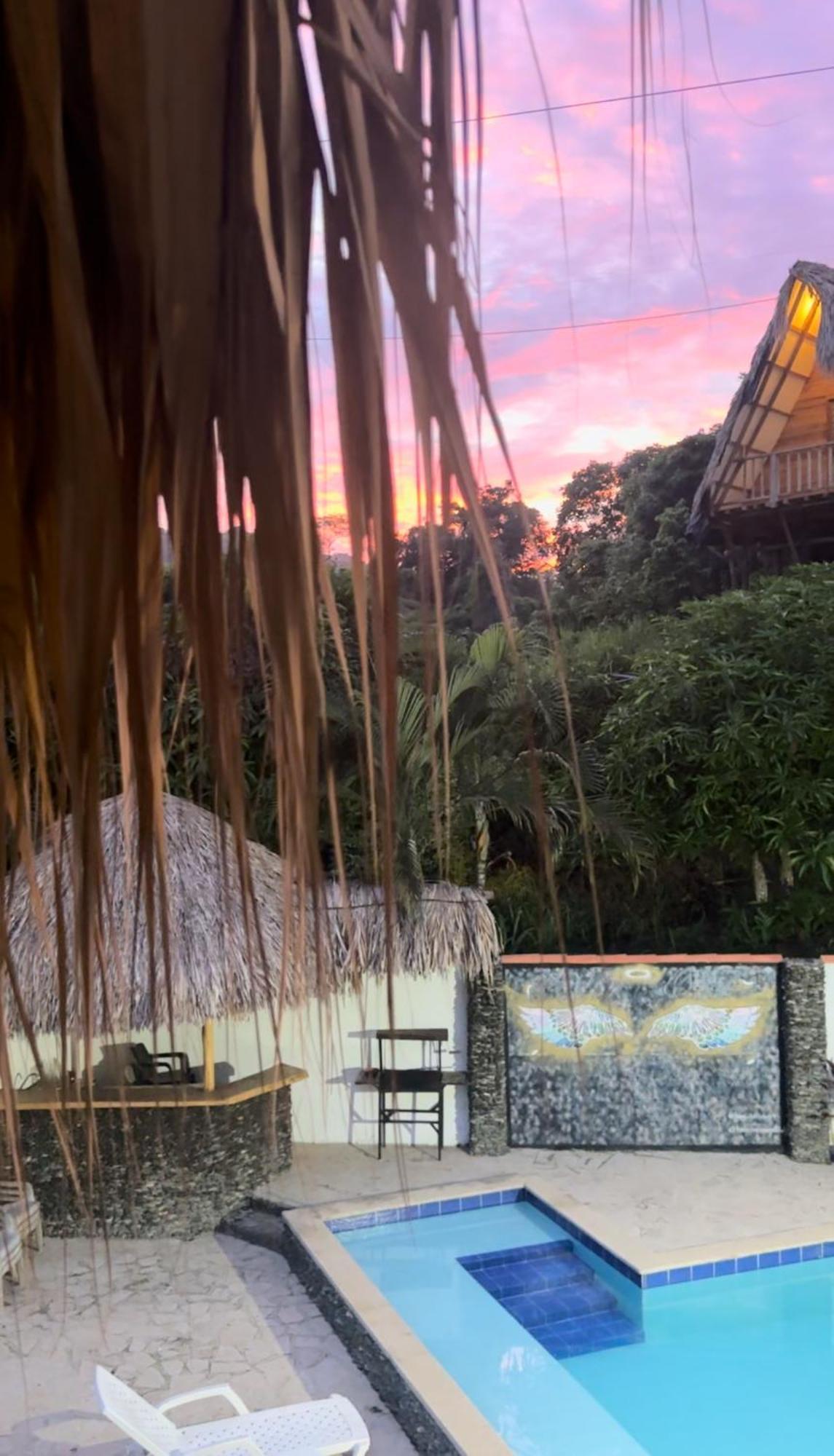 אל סאינו Tayrona Angel Lodge מראה חיצוני תמונה